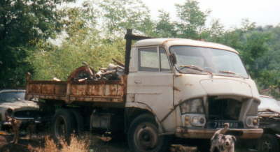 51